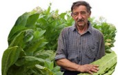 Agricoltore