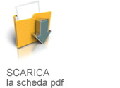 Scarica la scheda PDF Riconoscimento Istituzionale